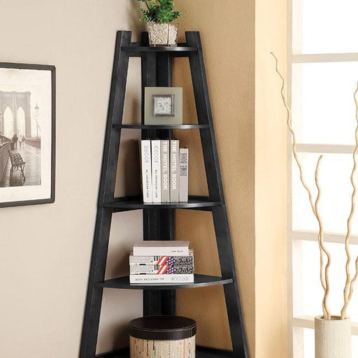 Lyss Black Ladder Shelf image