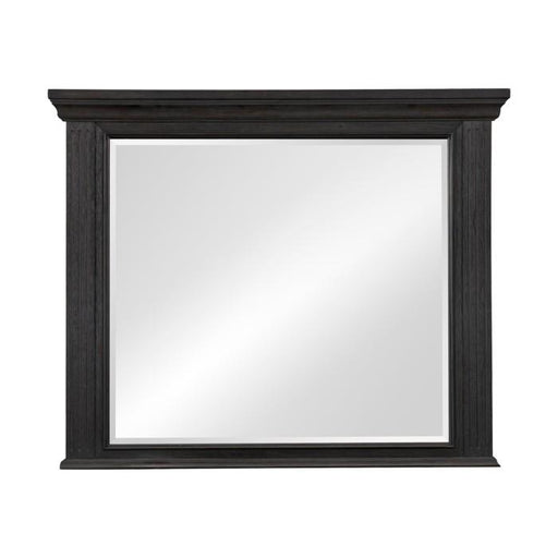 Bolingbrook Mirror in Coffee 1647-6 image