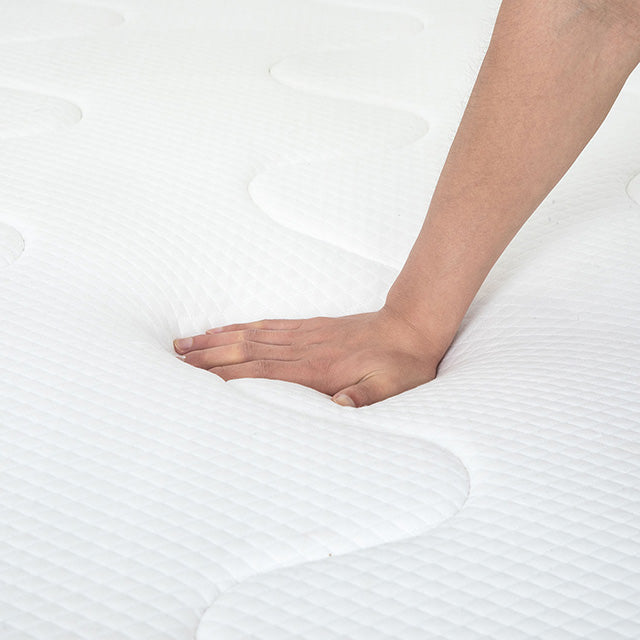 Catmint 10" Queen Innerspring Mattress
